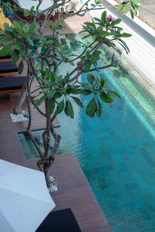 Dip & Doze Living Hostel ชังกู ภายนอก รูปภาพ